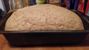 Bread proving in tin.