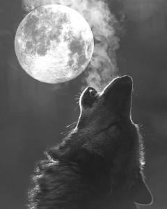 Full moon wolf moon